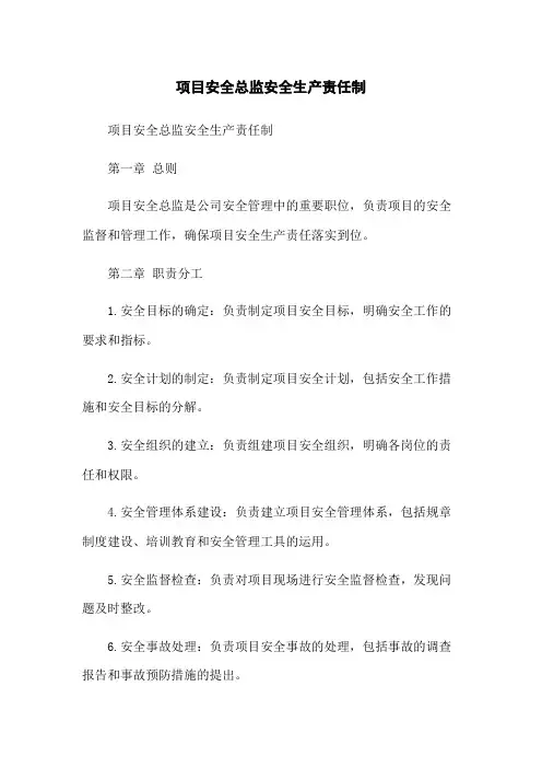 项目安全总监安全生产责任制