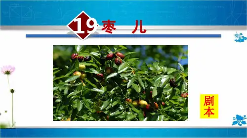 人教部编版九年级语文下册《枣儿》授课课件)