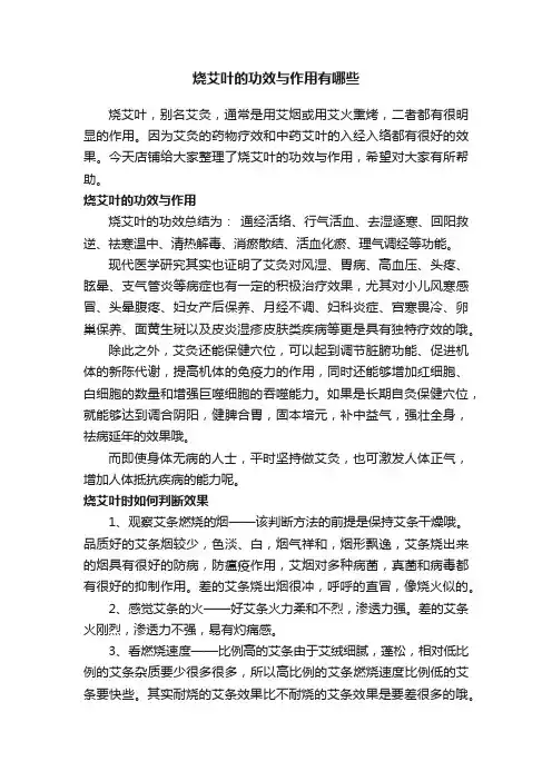 烧艾叶的功效与作用有哪些