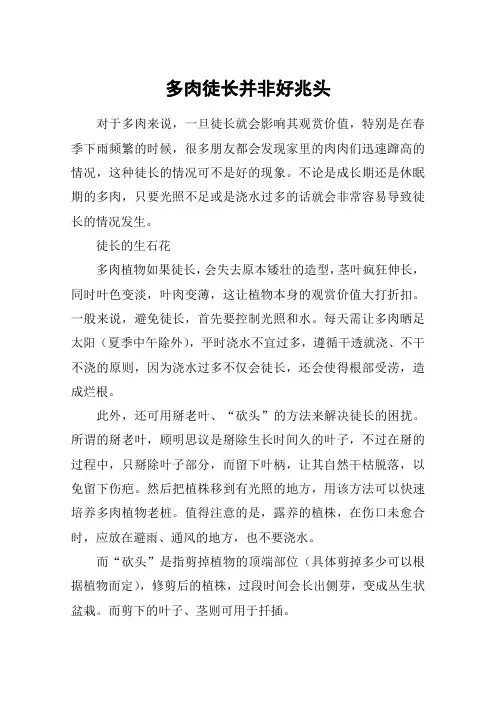 多肉徒长并非好兆头