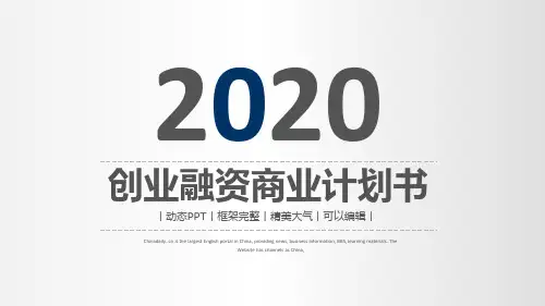 思维导图小米项目商业计划书模板