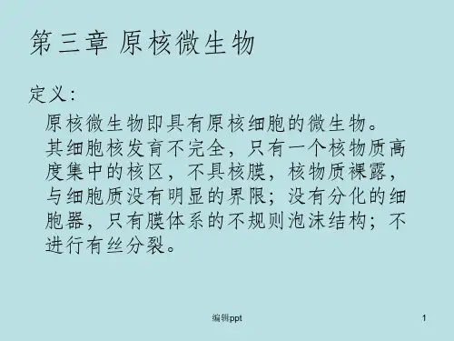 《环境工程微生物学》PPT课件