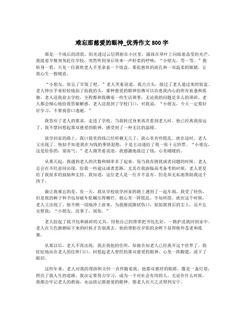难忘那慈爱的眼神_优秀作文800字