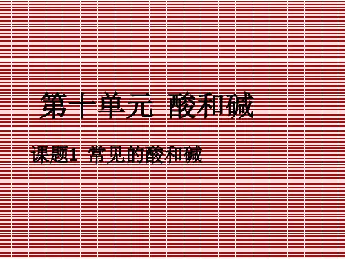 江苏省无锡市滨湖中学九年级化学下册第十单元课题1《常见的酸和碱(第一课时)课件新人教版
