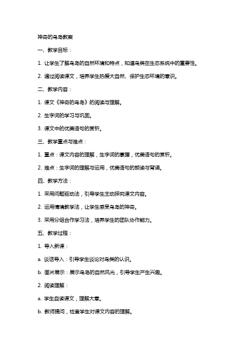 语文神奇的鸟岛教案