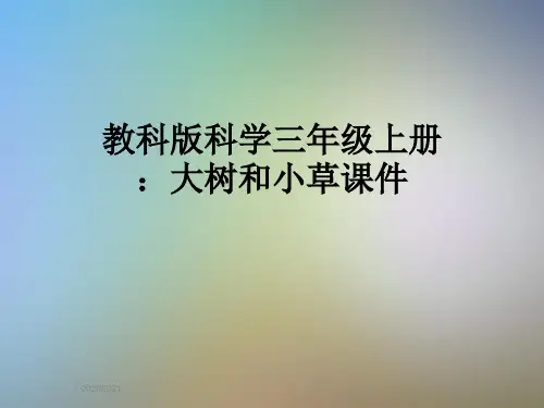 教科版科学三年级上册：大树和小草课件