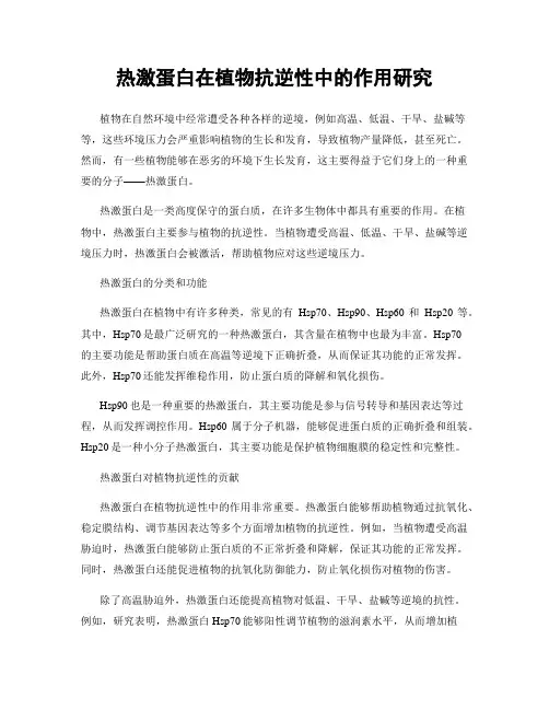 热激蛋白在植物抗逆性中的作用研究