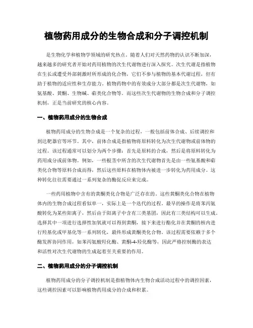 植物药用成分的生物合成和分子调控机制