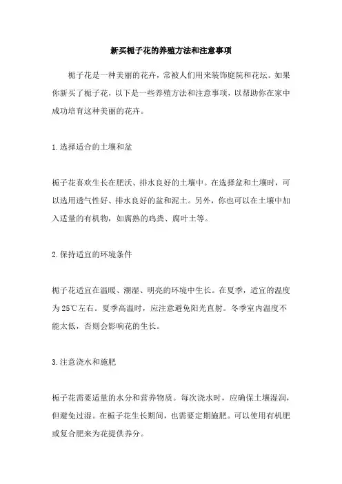 新买栀子花的养殖方法和注意事项