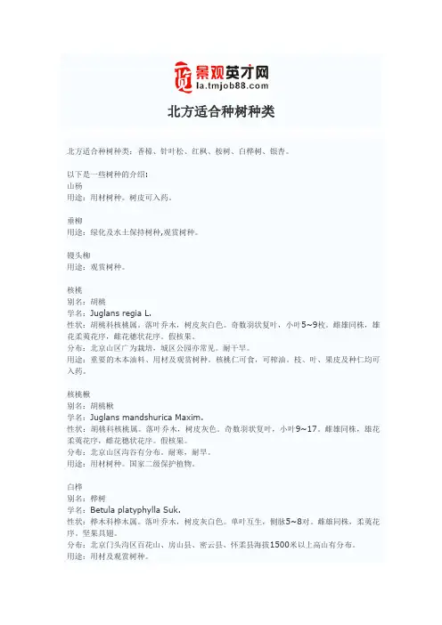 北方适合种树种类