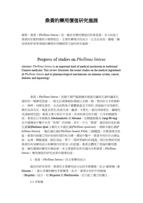 桑黄的药用价值研究进展