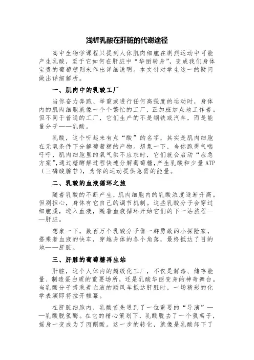 浅析乳酸在肝脏的代谢途径