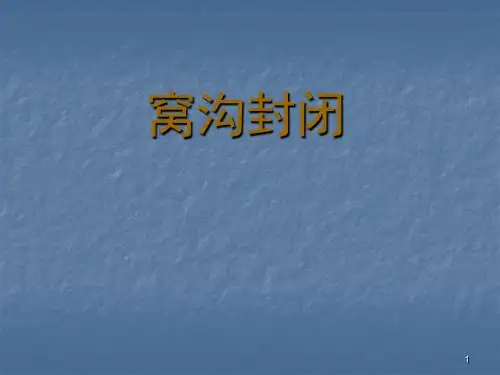 窝沟封闭ppt课件