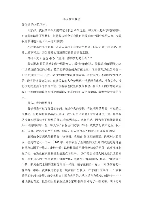 小人物大梦想