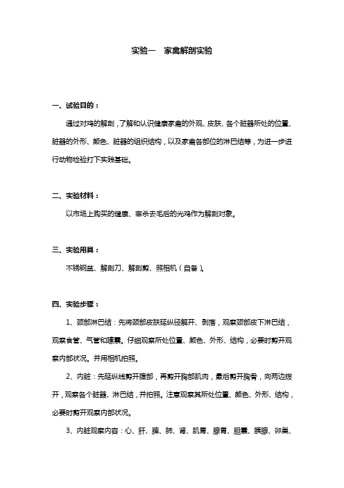 (畜产检验)实验一  家禽解剖实验