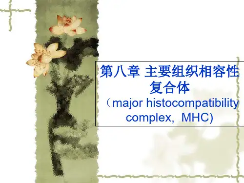 生物主要组织相容性复合体