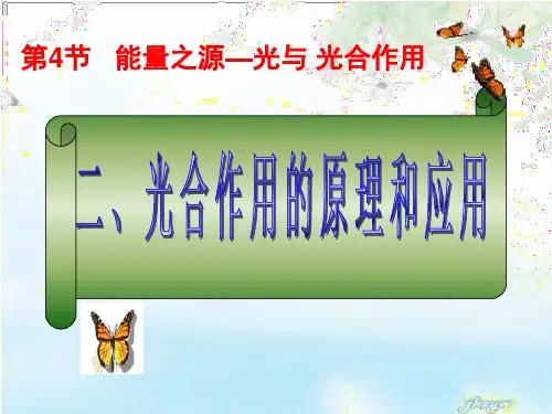 人教版高中生物必修一 5.4.2《光合作用的原理和应用》课件 (共19张PPT)