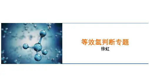 等效氢判断专题课件