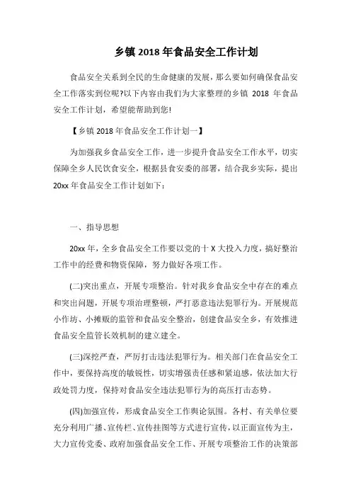 2019乡镇食品安全工作计划