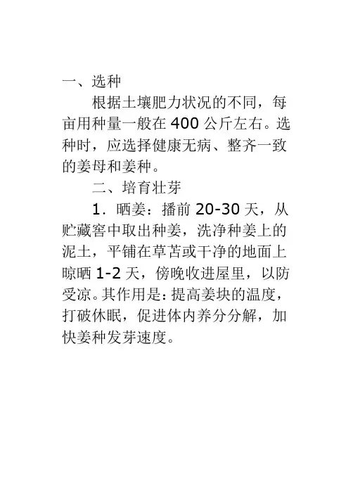 大姜种植