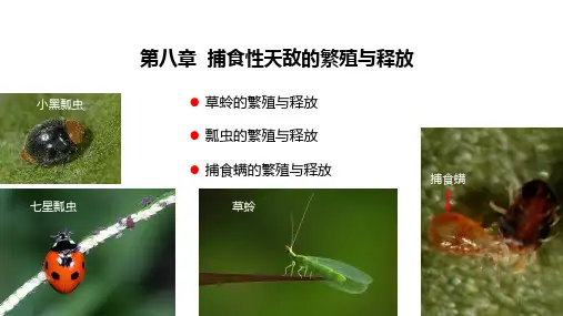 【中山大学生物防治】08捕食性天敌繁殖与释放PPT课件