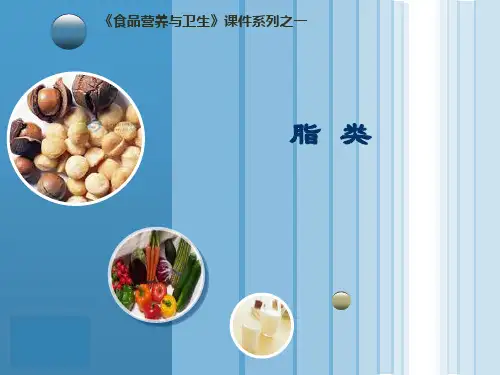 脂类