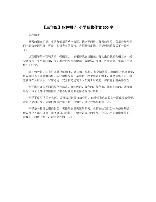 【三年级】各种帽子 小学状物作文300字