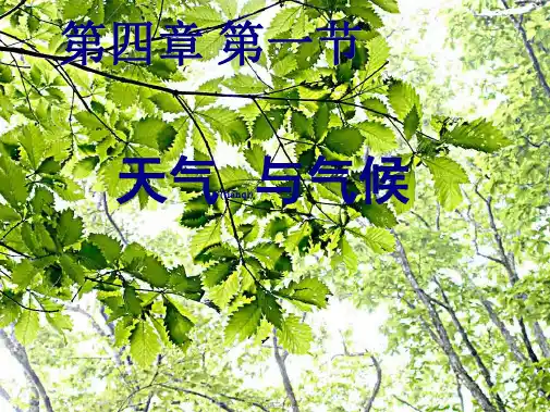七年级地理上册《4.1 天气和气候》课件 