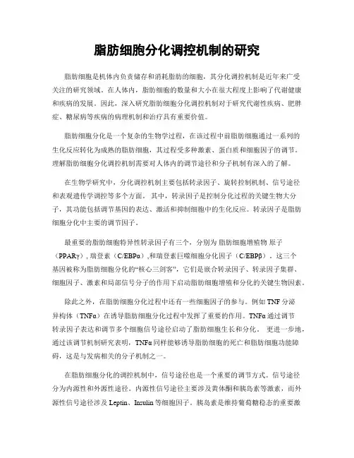 脂肪细胞分化调控机制的研究