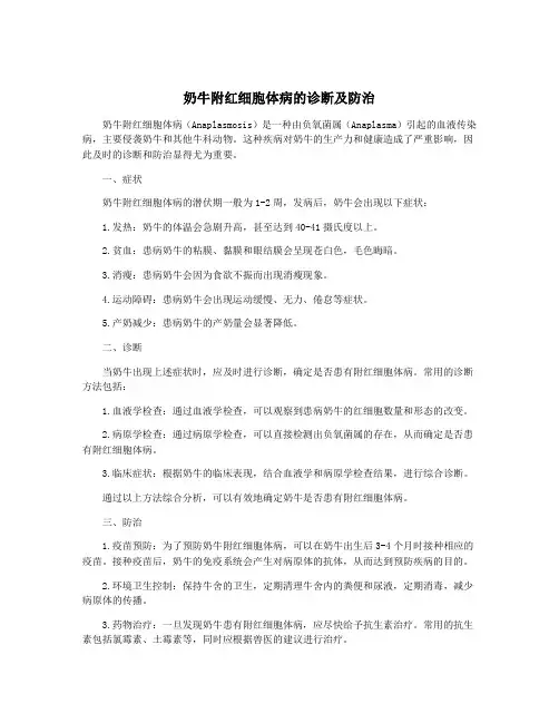 奶牛附红细胞体病的诊断及防治