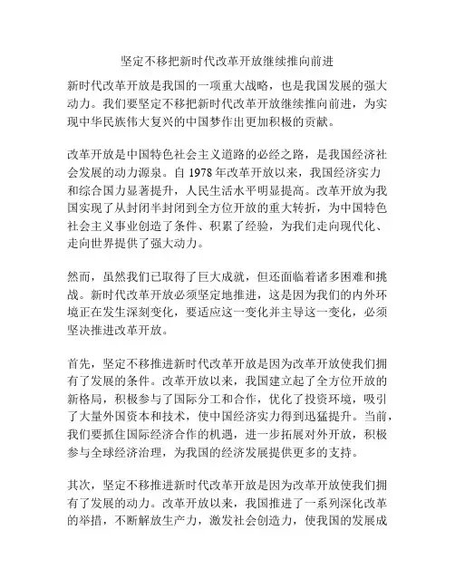 坚定不移把新时代改革开放继续推向前进