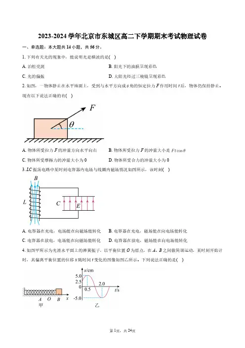 2023-2024学年北京市东城区高二下学期期末考试物理试卷+答案解析