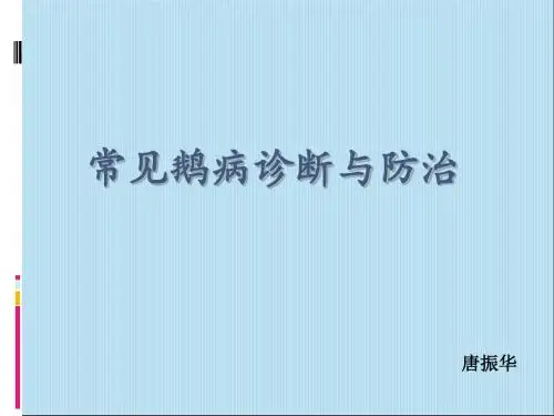 常见鹅病诊断与防治 ppt课件
