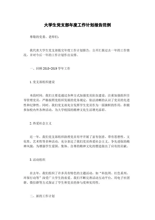 大学生党支部年度工作计划报告范例