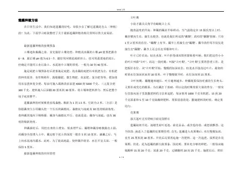 莲藕种植方法