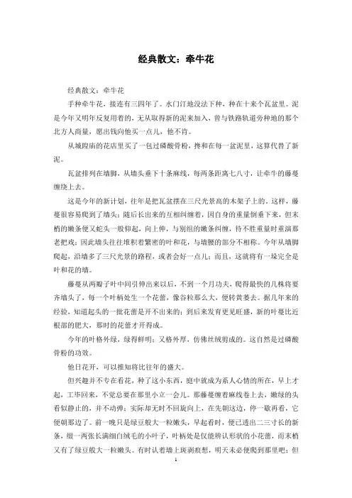 经典散文：牵牛花