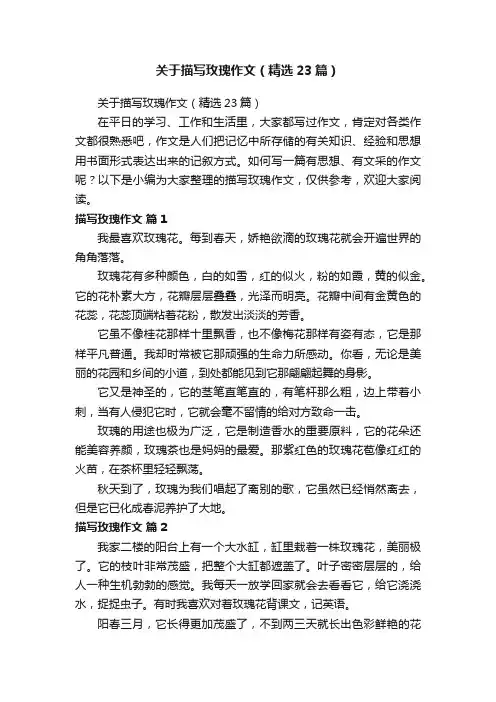 关于描写玫瑰作文（精选23篇）