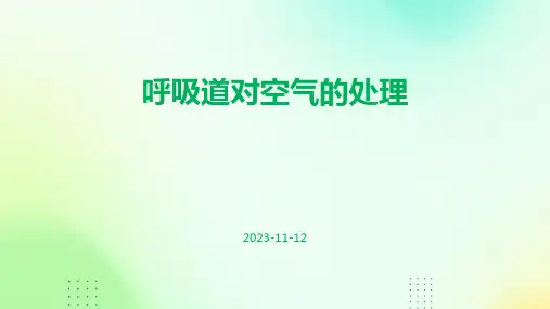 呼吸道对空气的处理