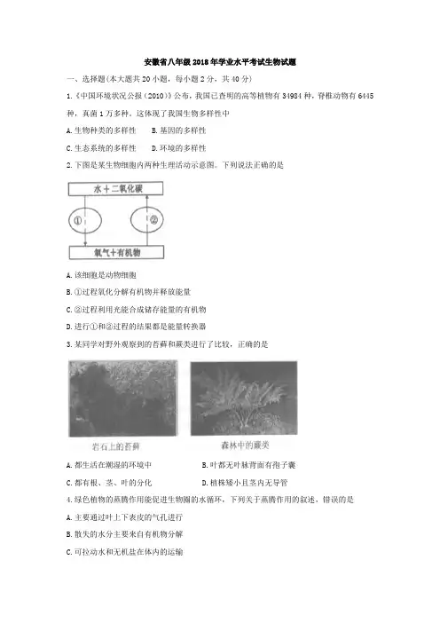 安徽省2018年八年级学业水平考试生物试题(word版,含答案)