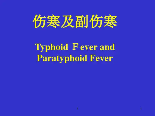 《伤寒及副伤寒》PPT课件