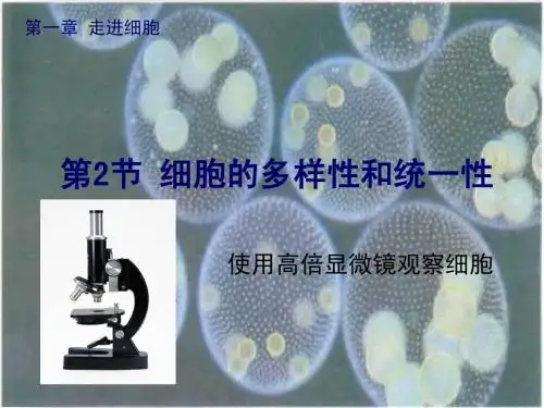 高倍镜的使用