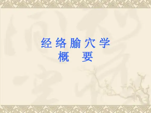 经络腧穴学