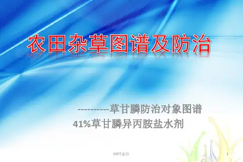 农田杂草图谱及防治技术  ppt课件