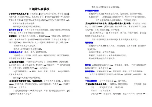 B超报告模板