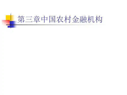 农村金融.ppt