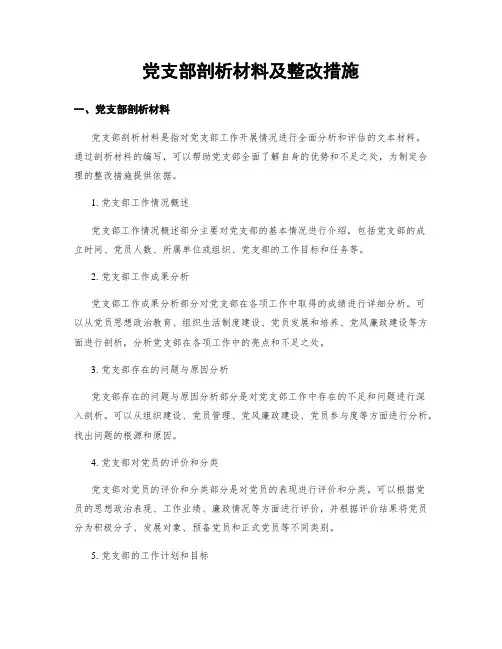 党支部剖析材料及整改措施