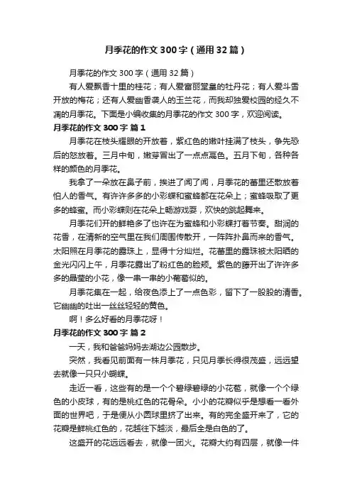 月季花的作文300字（通用32篇）