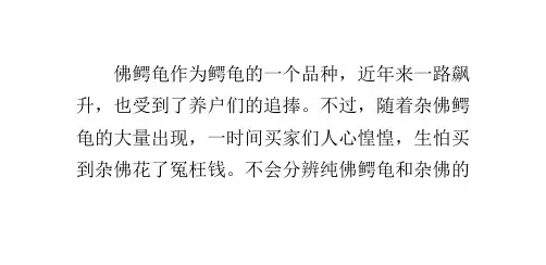 纯种佛鳄龟的几个特点