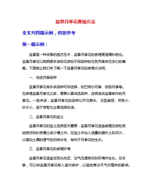 盆景月季花养殖方法