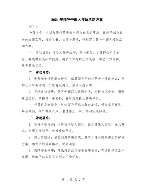 2024年领导干部大接访活动方案
